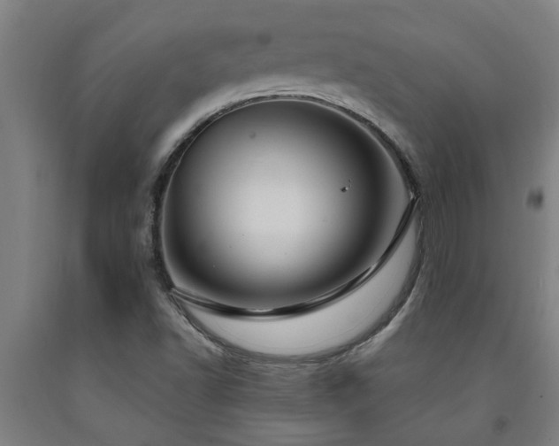 X0000093091502200709261218