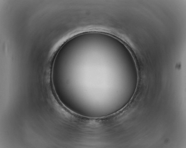 X0000093091504200709261218