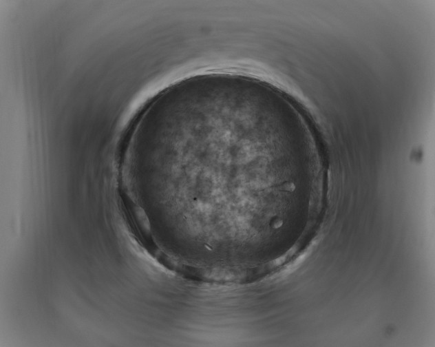 X0000093091506200709261218