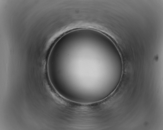 X0000093091507200709261218