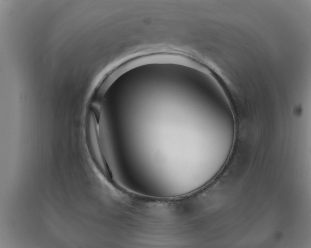 X0000093091508200709261218