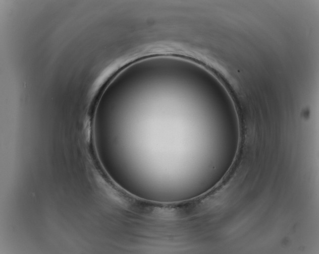 X0000093091509200709261218