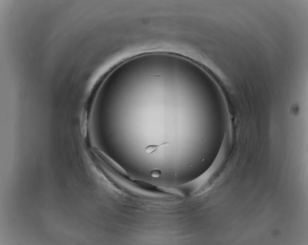 X0000093091510200709261218