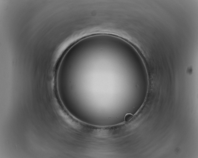 X0000093091511200709261218