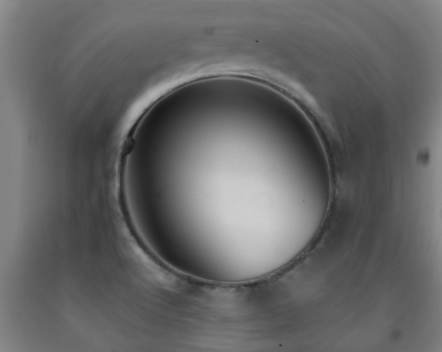 X0000093091512200709261218