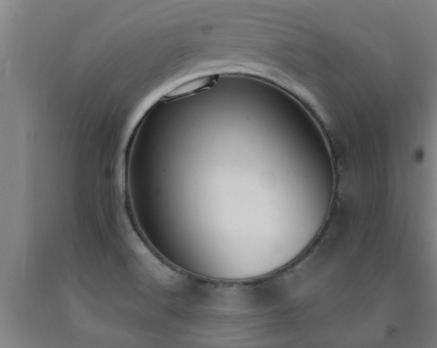 X0000093091516200709261218
