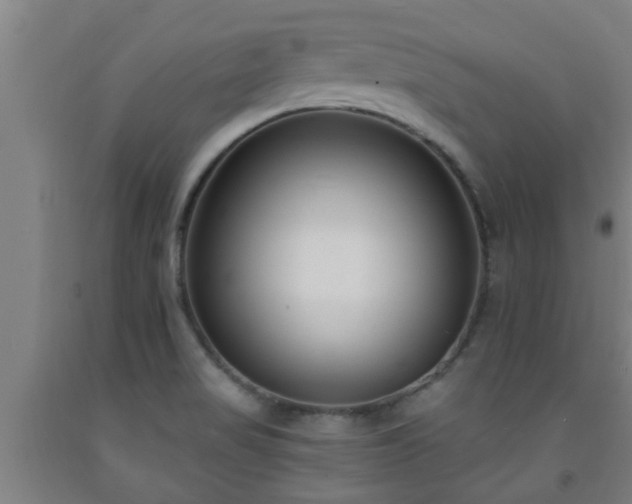 X0000093091517200709261218