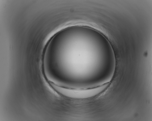 X0000093091518200709261218