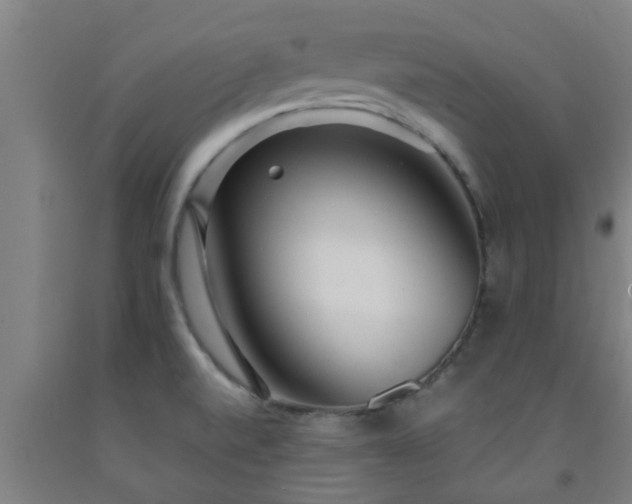 X0000093091520200709261218