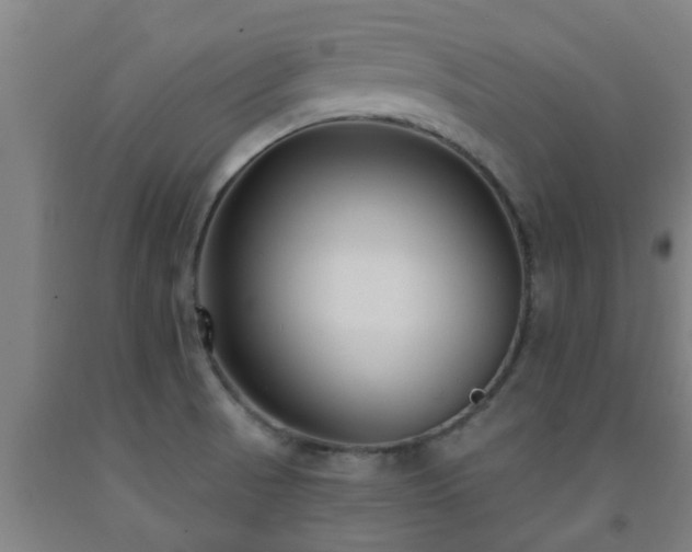 X0000093091521200709261218