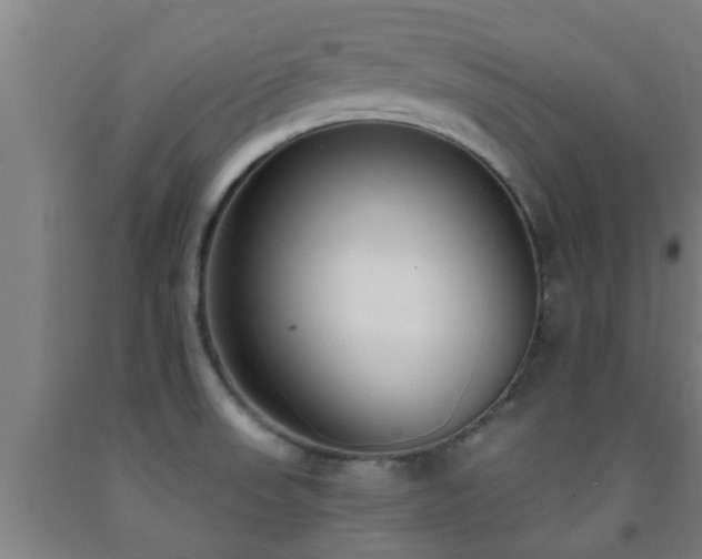 X0000093091523200709261218