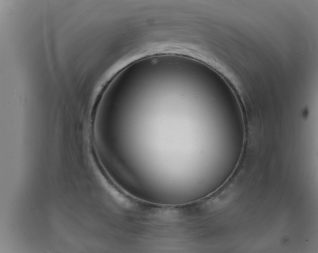 X0000093091525200709261218