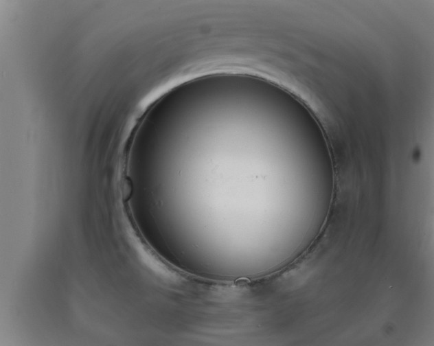 X0000093091526200709261218