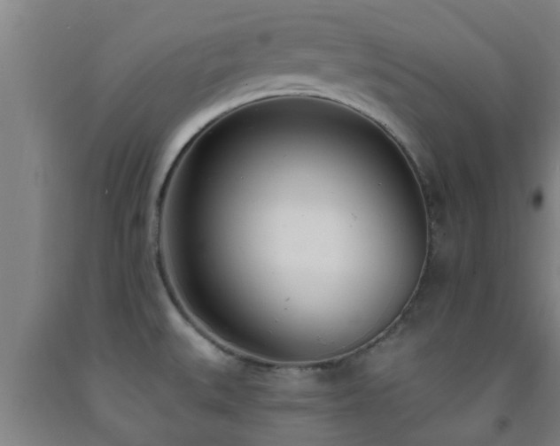 X0000093091527200709261218