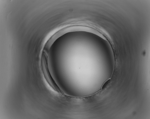 X0000093091528200709261218