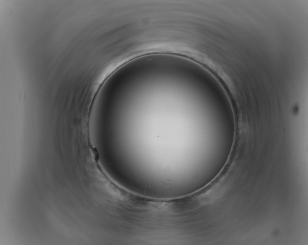 X0000093091529200709261218