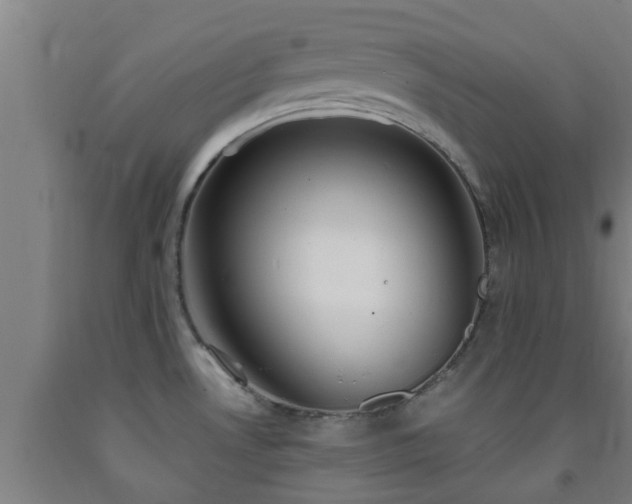X0000093091530200709261218