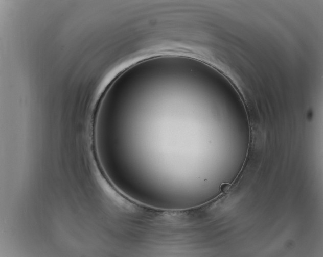 X0000093091531200709261218