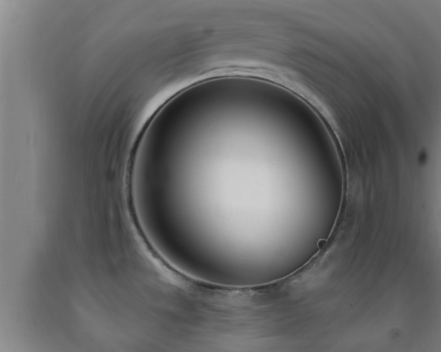 X0000093091533200709261218