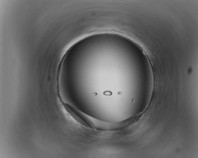 X0000093091534200709261218