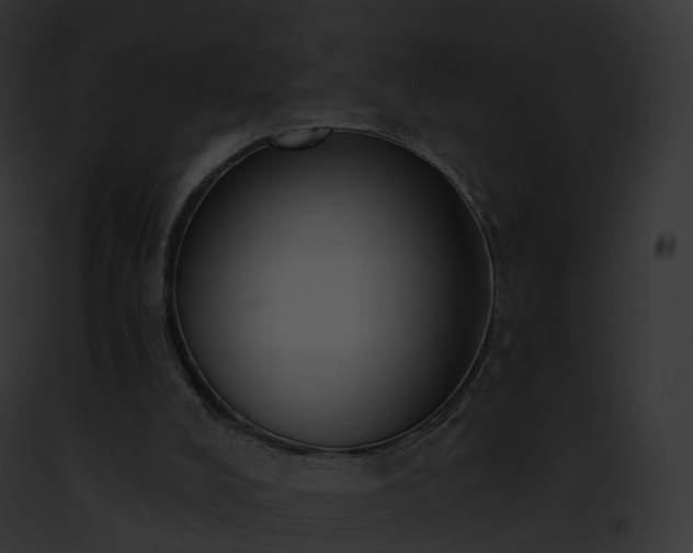 X0000093090008200710031447