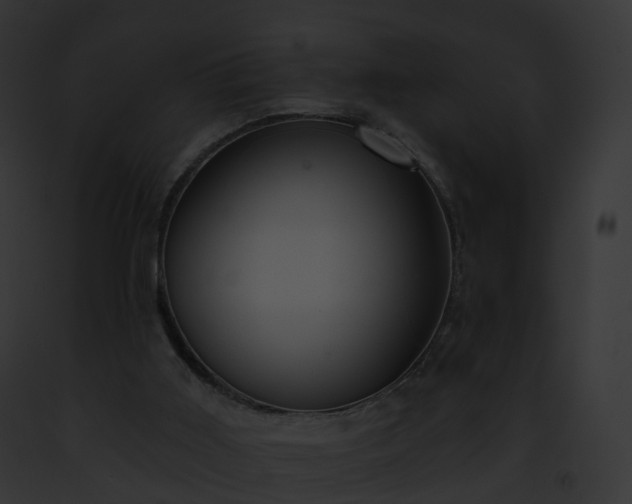 X0000093090011200710031447
