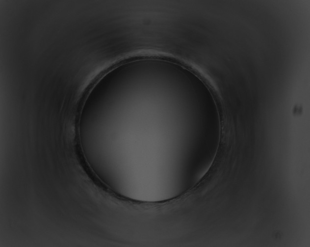 X0000093090015200710031447