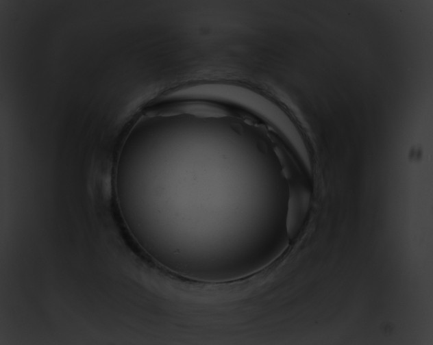 X0000093090019200710031447