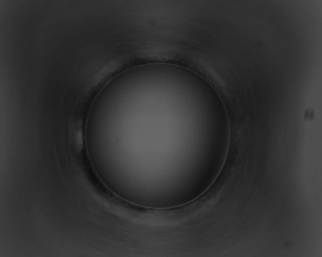 X0000093090020200710031447