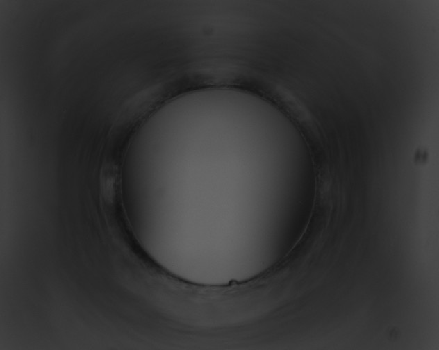 X0000093090026200710031447