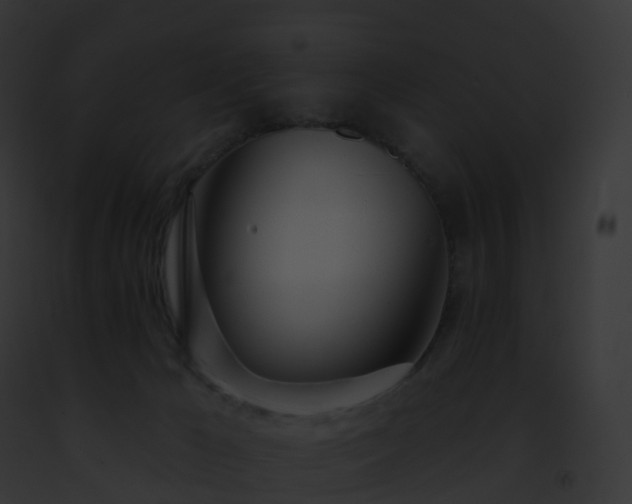 X0000093090029200710031447