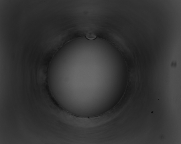 X0000093090030200710031447