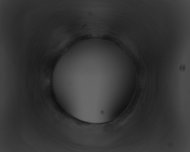 X0000093090032200710031447