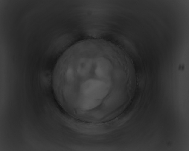 X0000093090036200710031447