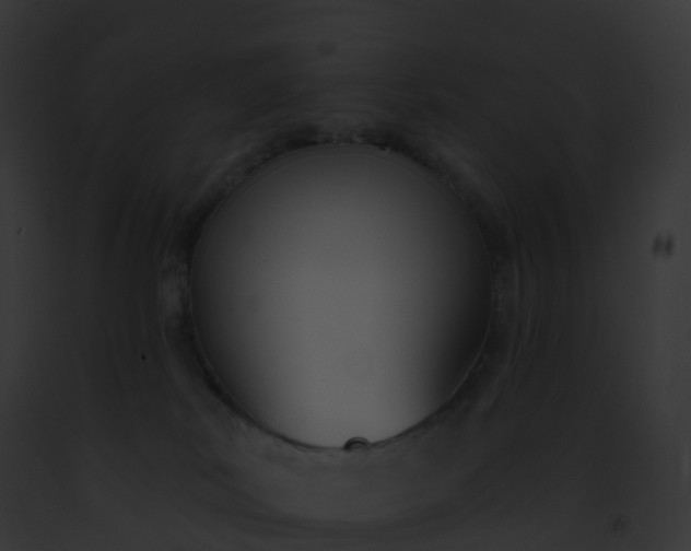 X0000093090038200710031447