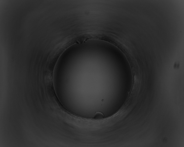 X0000093090048200710031447