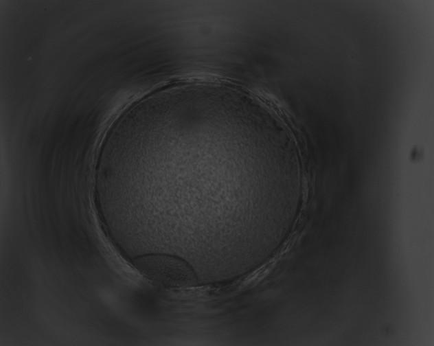X0000093090049200710031446