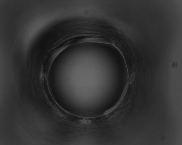 X0000093090052200710031446