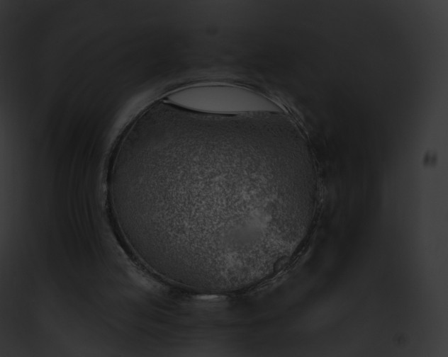 X0000093090053200710031446