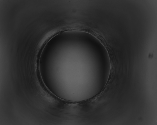 X0000093090054200710031446