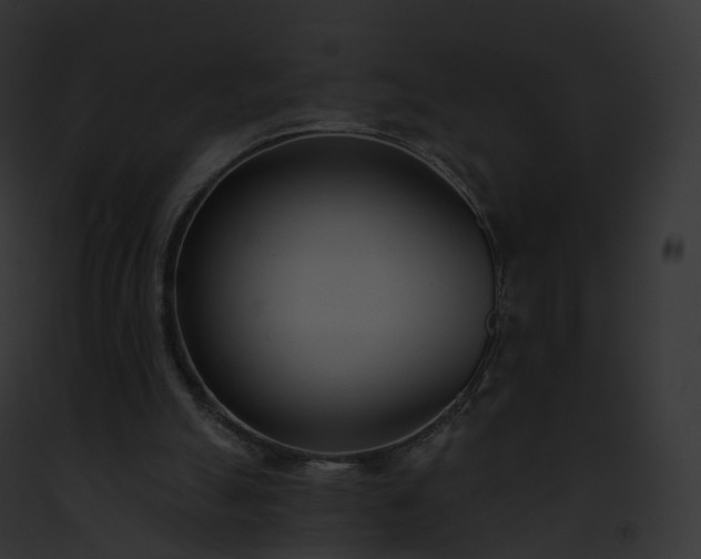 X0000093090055200710031446