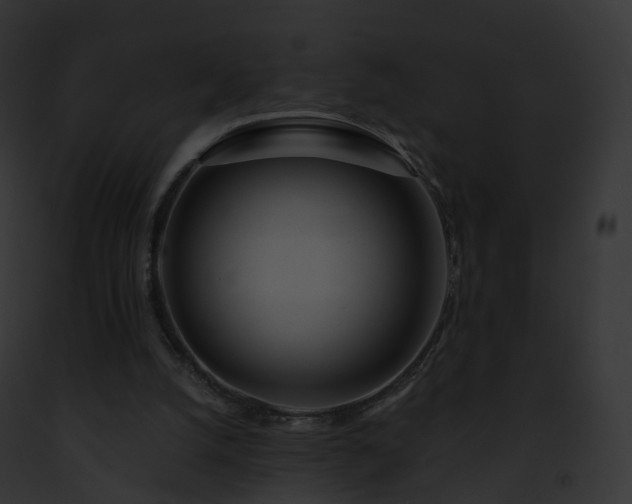 X0000093090056200710031446