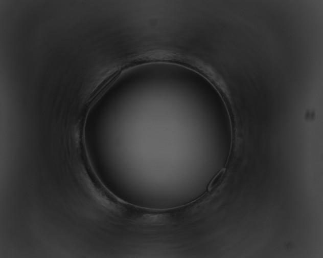 X0000093090057200710031446