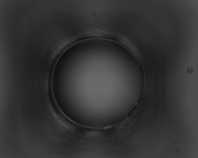 X0000093090058200710031446