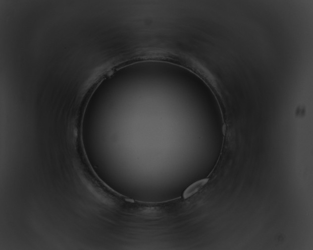 X0000093090059200710031446