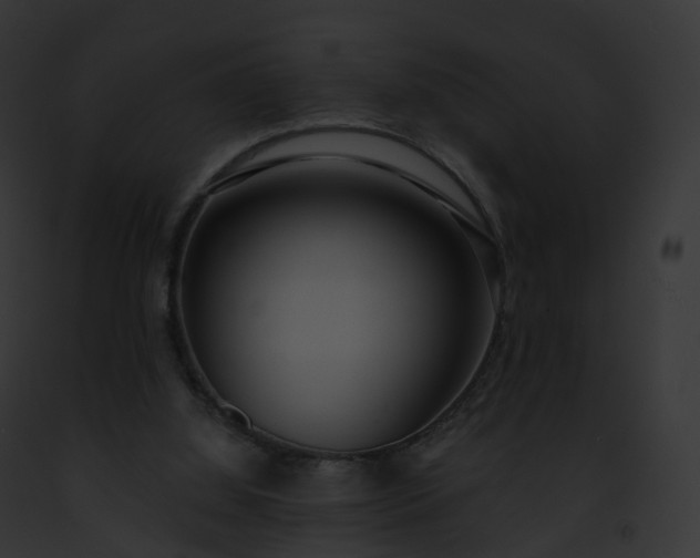 X0000093090060200710031446