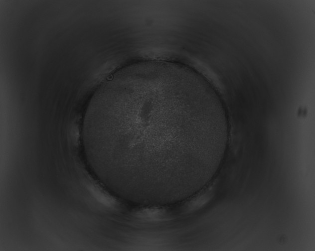 X0000093090065200710031447