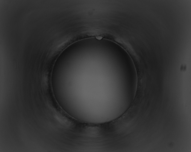 X0000093090066200710031447