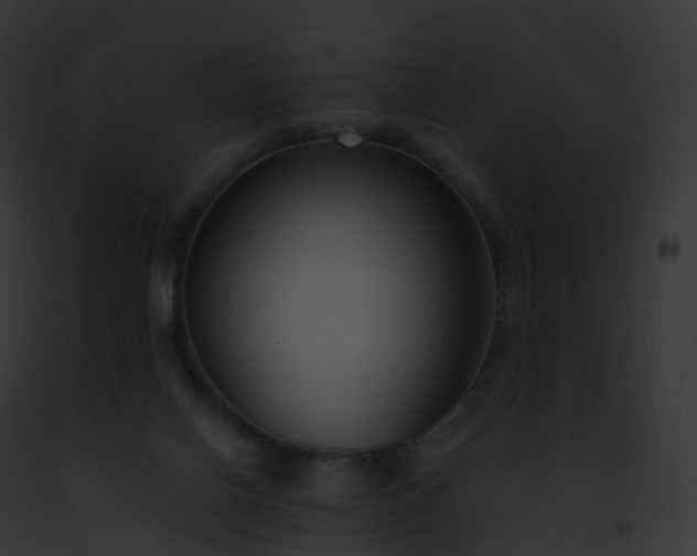 X0000093090070200710031447