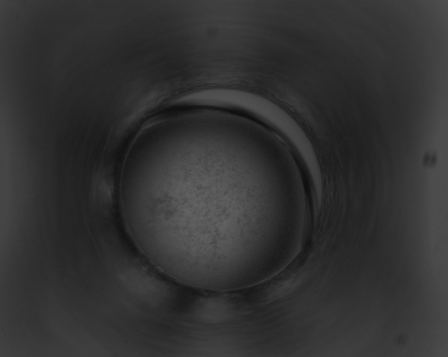 X0000093090072200710031447